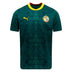 Senegal Home/Away Jersey 2026